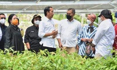 Presiden Jokowi: Pemerintah Serius Perbaiki Lingkungan pada Pembangunan IKN