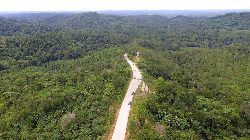 Jejak di Jalur Trans Kalimantan: Memuluskan Jalan Tak Bertuan ala Isran-Hadi