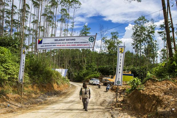 Badan Otorita Sebut 90 Investor Serius Bangun IKN Nusantara