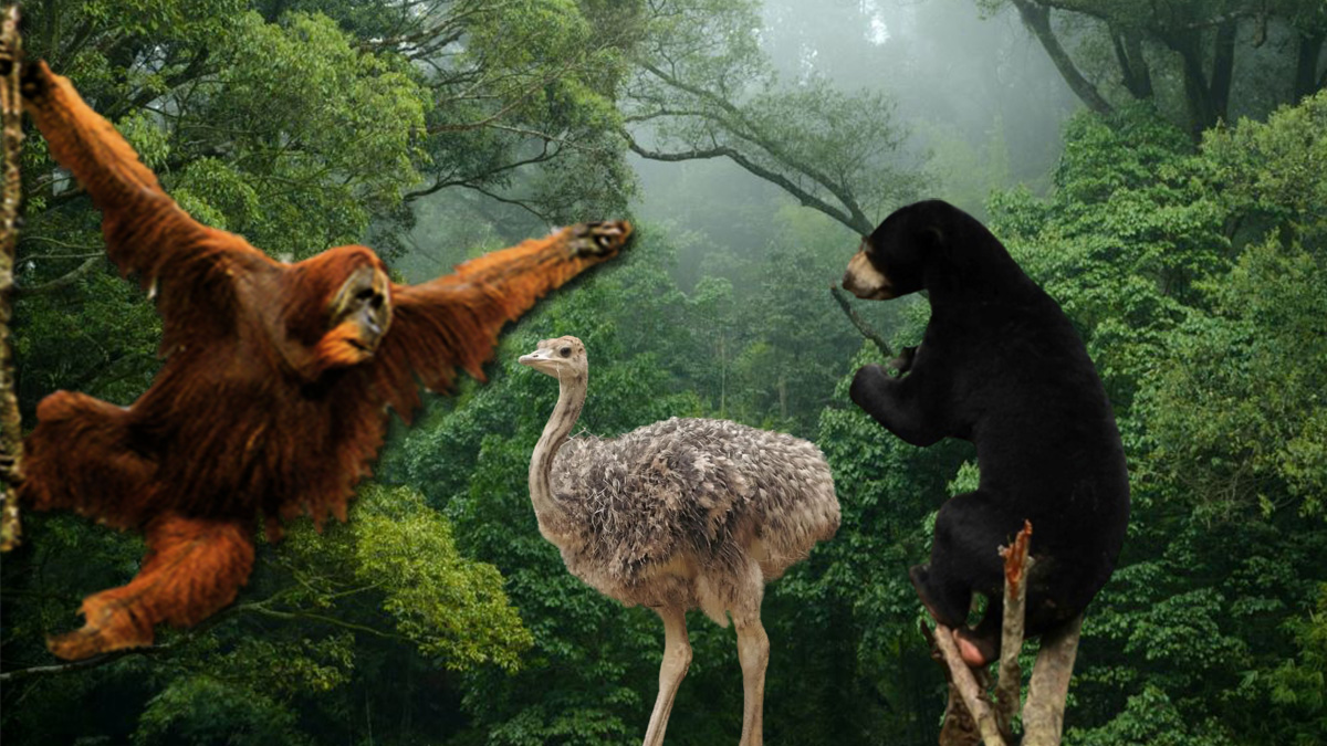 wisata fauna