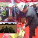 terowongan-samarinda