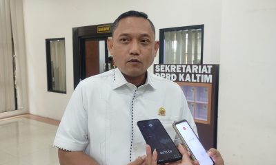 seno aji