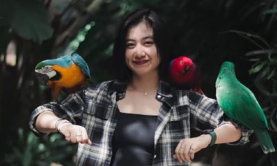 wisata