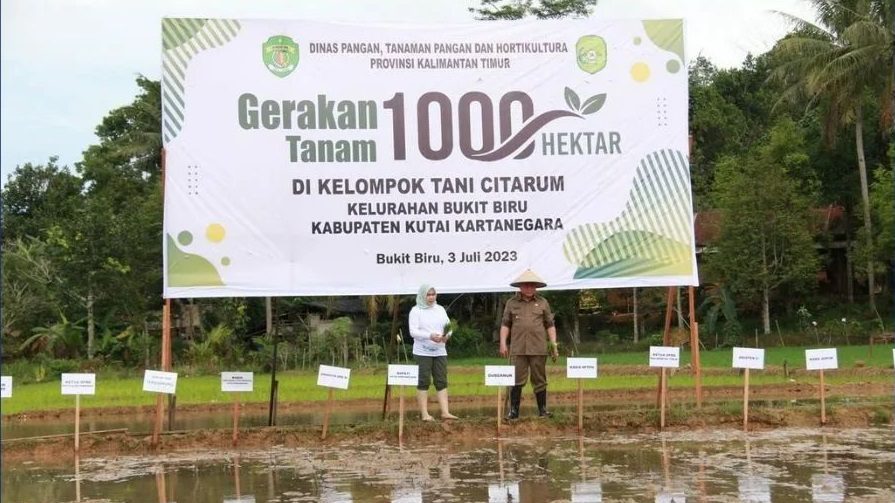Kunker ke Kukar, Gubernur Canangkan Gerakan Tanam Seribu Hektare