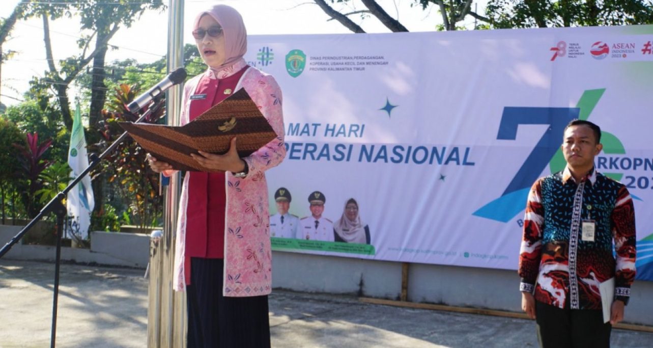 Sektor Koperasi