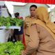 samarinda