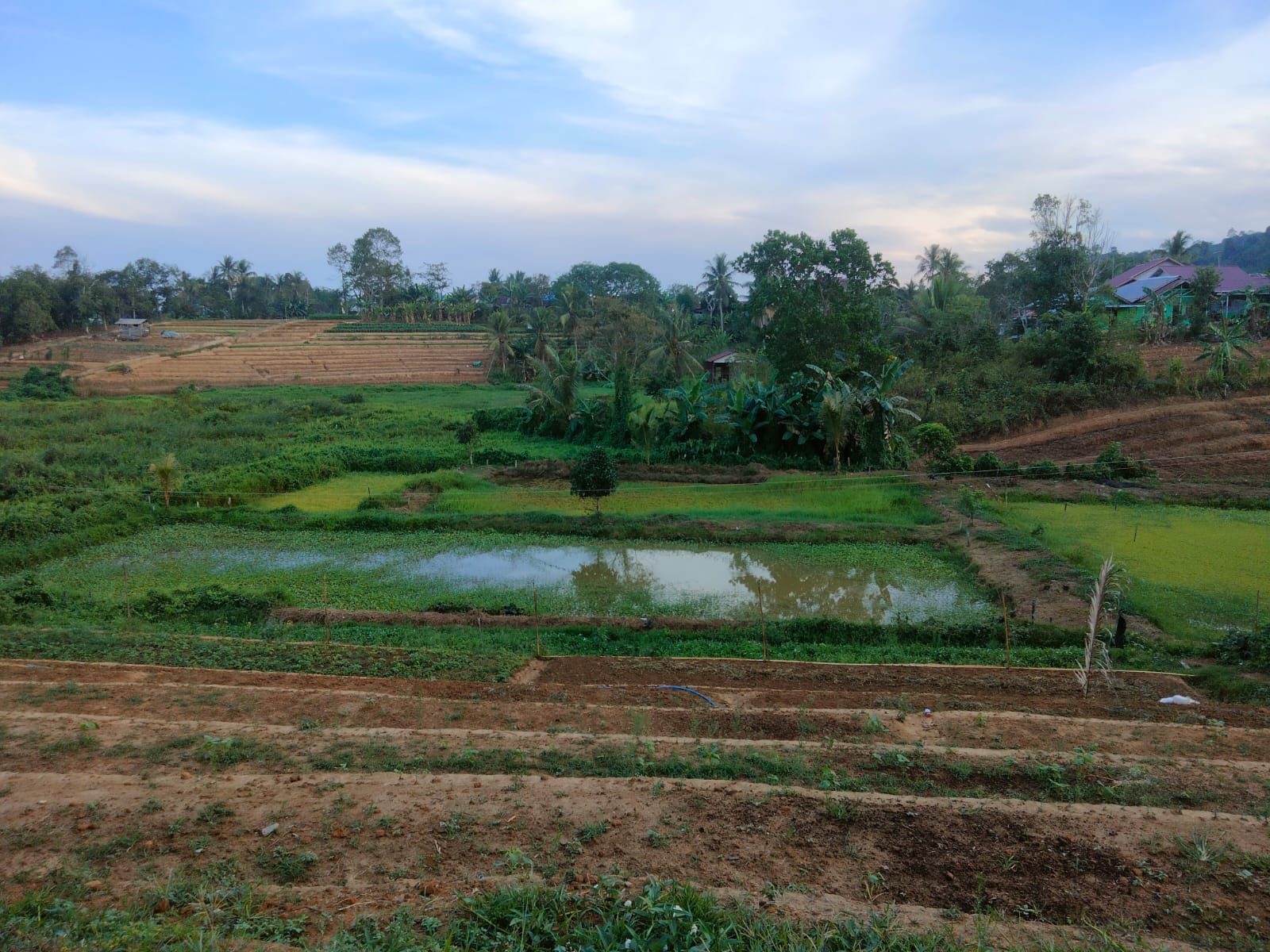 desa sumbersari