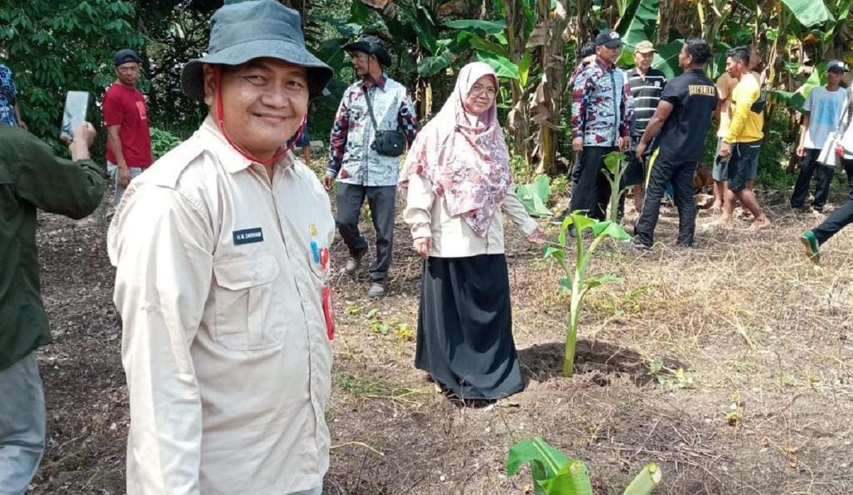 ketapangtani