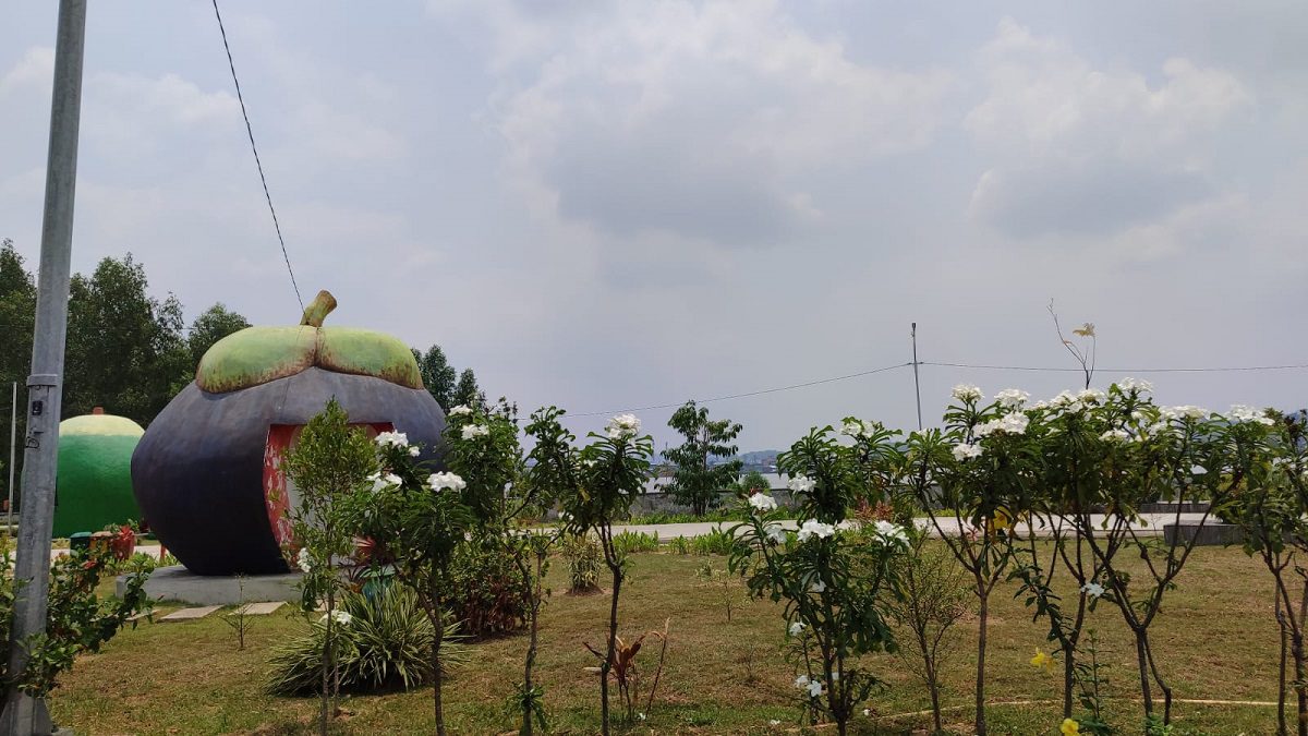 ulat bulu