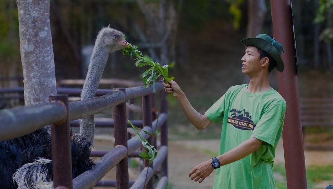 wisata